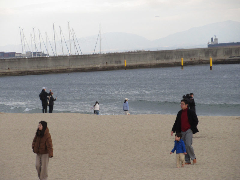 2026�N ���{���r�[�`