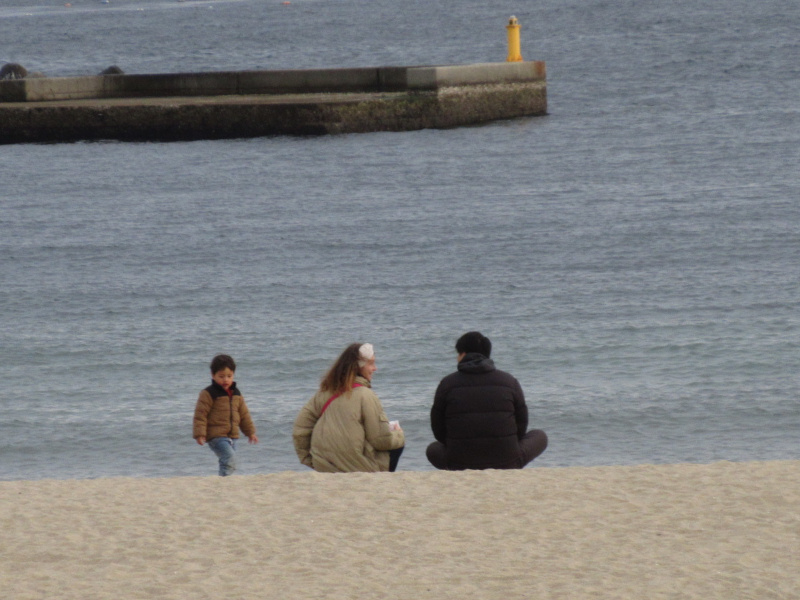 2026�N ���{���r�[�`