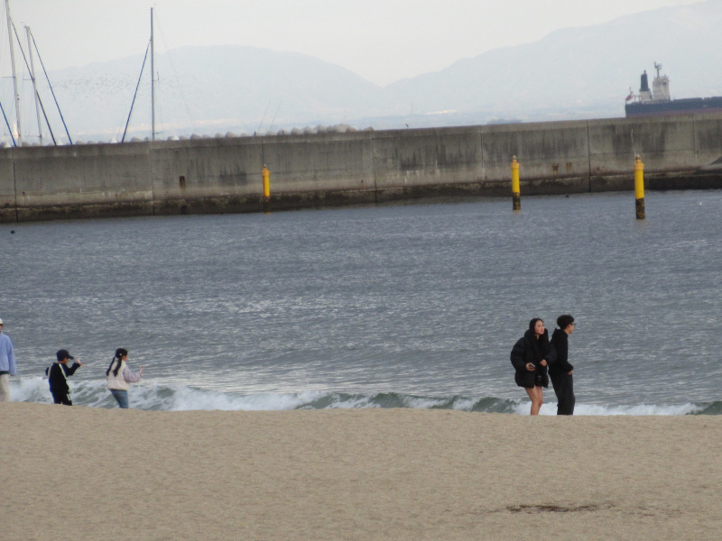 2026�N ���{���r�[�`