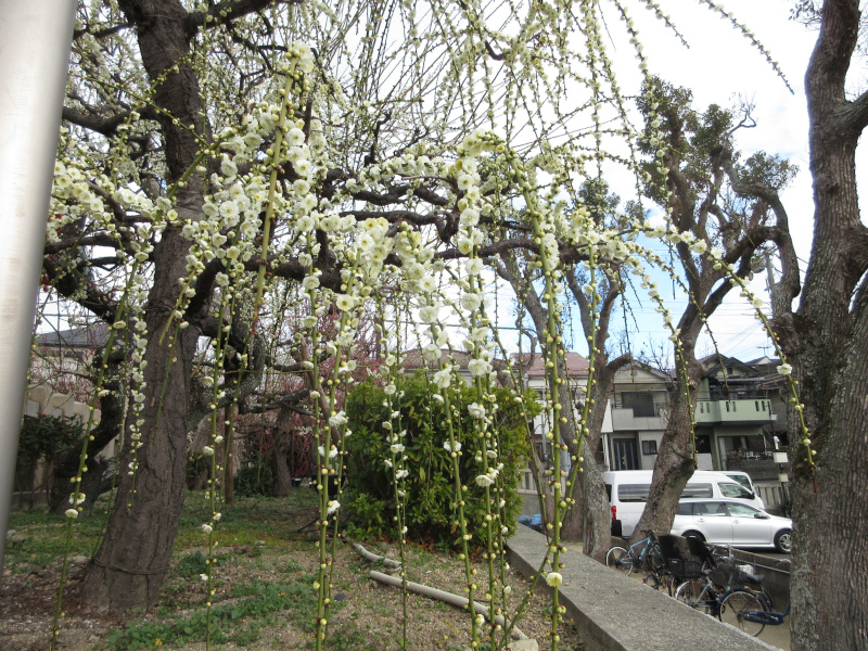 �j�~�V���{ �~