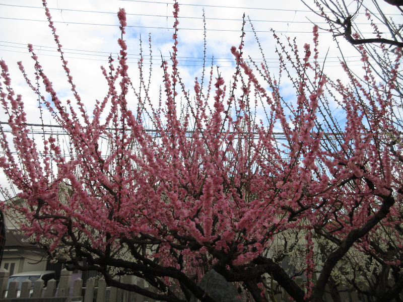 �j�~�V���{ �~