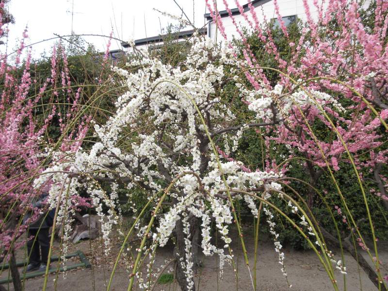 �j�~�V���{ �~